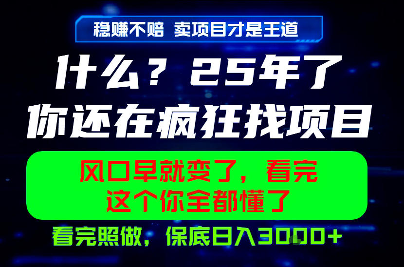 26年，请不要疯狂的找项目做了！卖项目才是真的稳賺不赔，看完照做，保底日入1k+【揭秘】-亮剑学堂