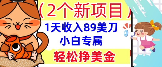 2个新项目,轻松挣美金, 1天收入89美刀,小白专属,干货分享-亮剑学堂